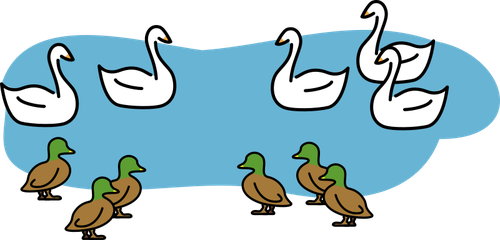 Drawing of 6 ducks and 5 swans in a pond